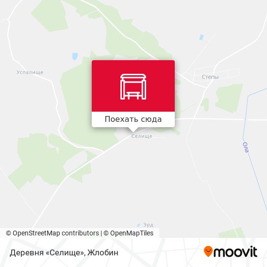 Карта Деревня «Селище»