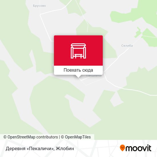 Карта Деревня «Пекаличи»