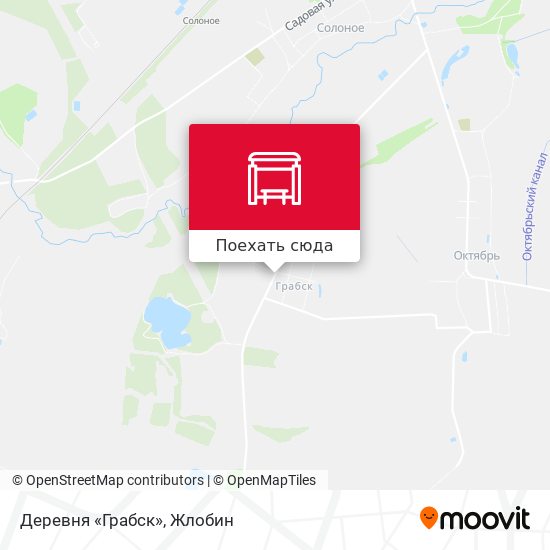 Карта Деревня «Грабск»