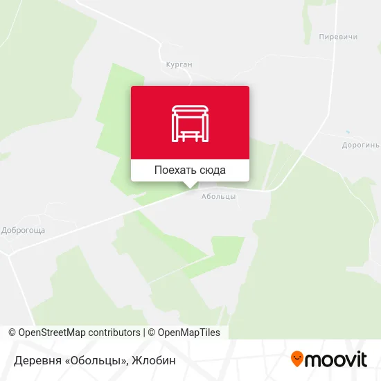 Карта Деревня «Обольцы»