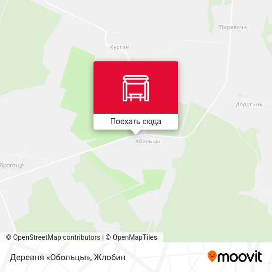 Карта Деревня «Обольцы»