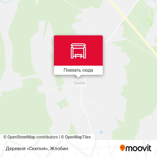 Карта Деревня «Скепня»