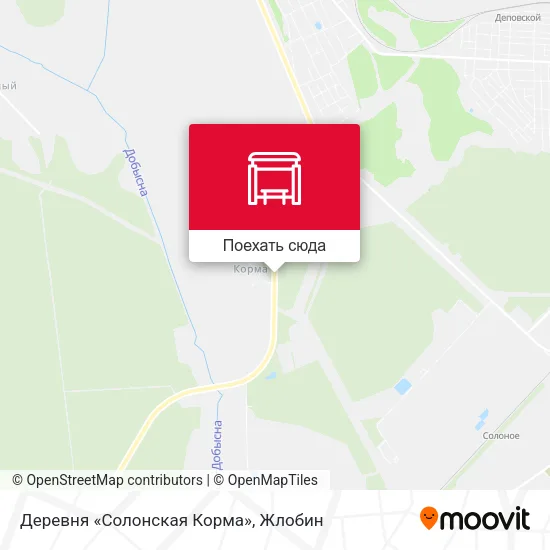 Карта Деревня «Солонская Корма»