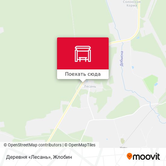 Карта Деревня «Лесань»