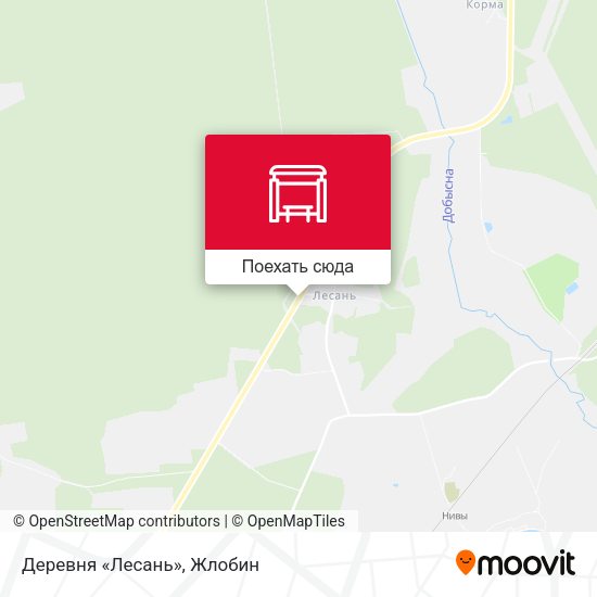 Карта Деревня «Лесань»