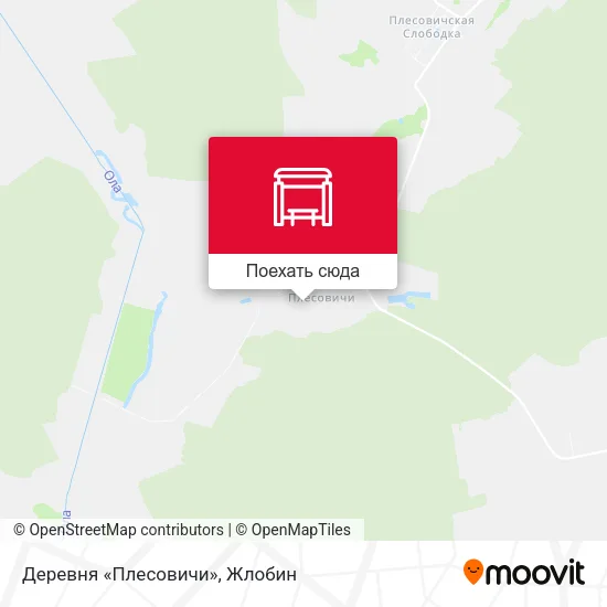 Карта Деревня «Плесовичи»