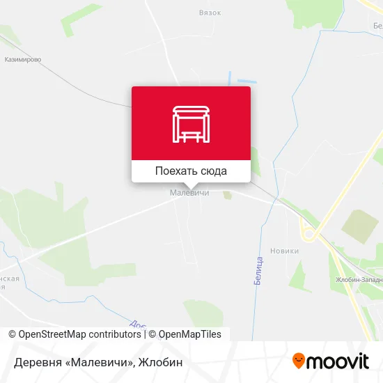 Карта Деревня «Малевичи»