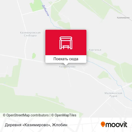 Карта Деревня «Казимирово»