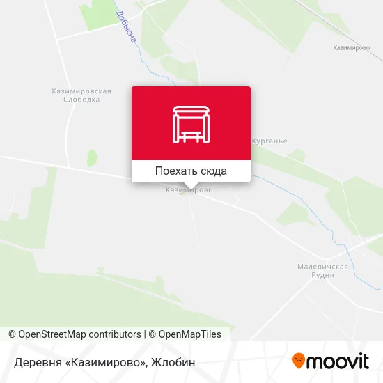 Карта Деревня «Казимирово»
