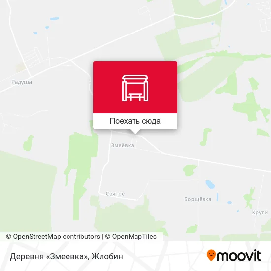 Карта Деревня «Змеевка»