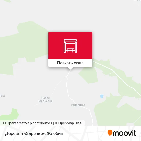 Карта Деревня «Заречье»