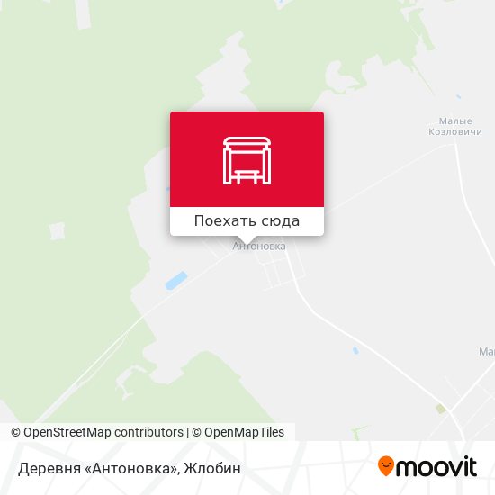 Карта Деревня «Антоновка»