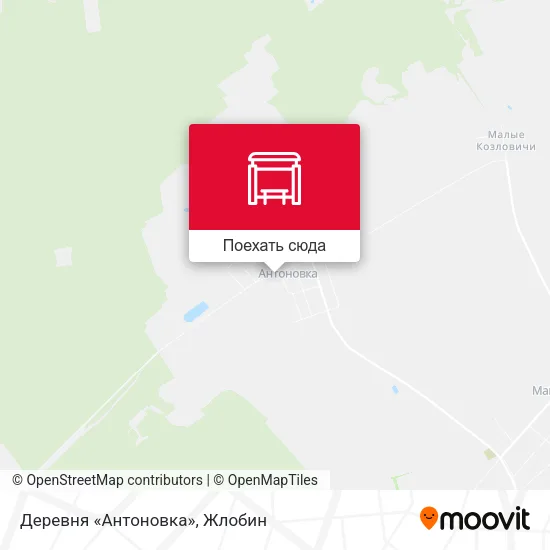 Карта Деревня «Антоновка»