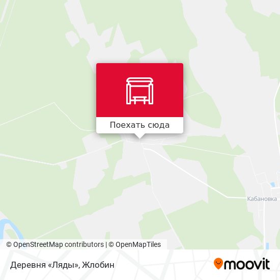 Карта Деревня «Ляды»
