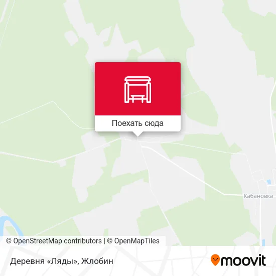 Карта Деревня «Ляды»
