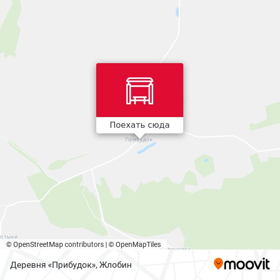 Карта Деревня «Прибудок»