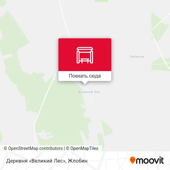 Карта Деревня «Великий Лес»