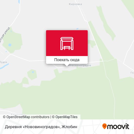Карта Деревня «Нововиноградов»