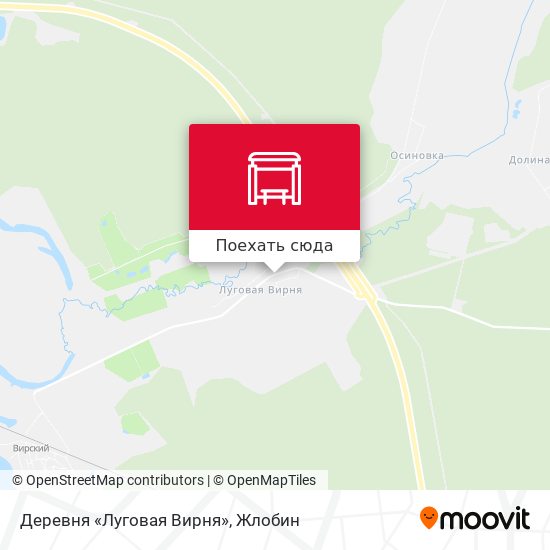 Карта Деревня «Луговая Вирня»