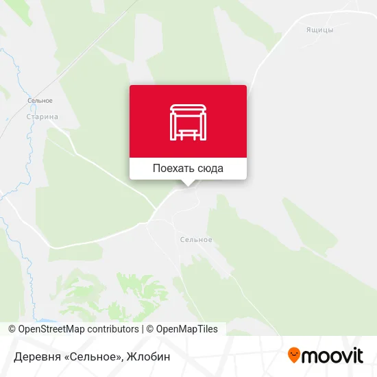 Карта Деревня «Сельное»
