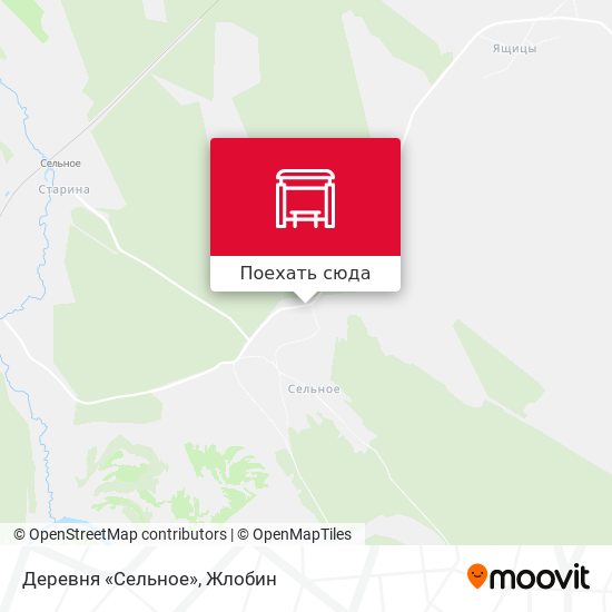 Карта Деревня «Сельное»