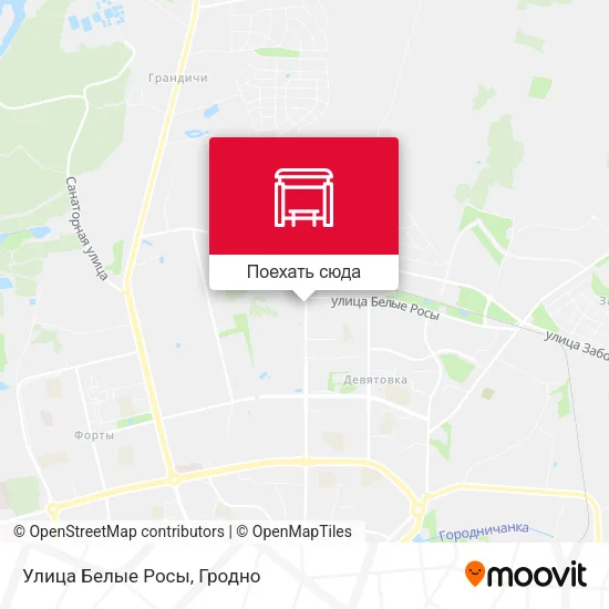 Карта Улица Белые Росы