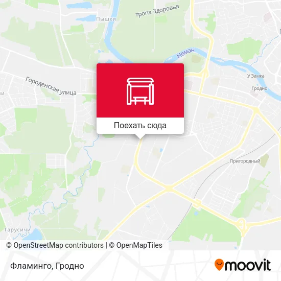 Карта Фламинго