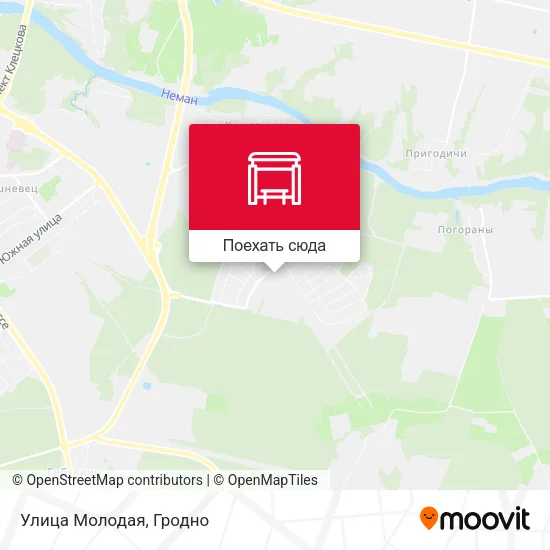 Карта Улица Молодая