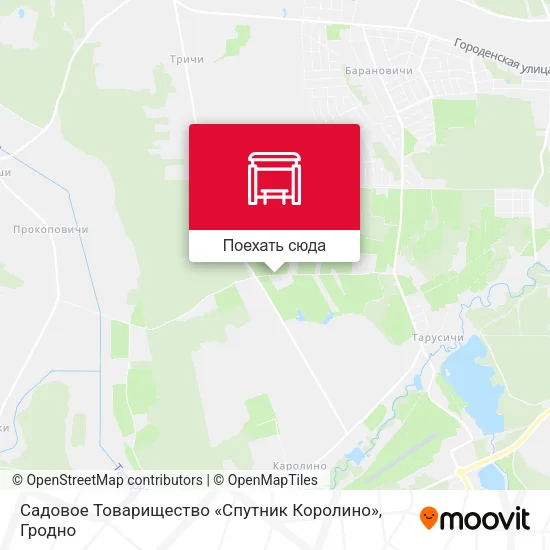 Карта Садовое Товарищество «Спутник Королино»