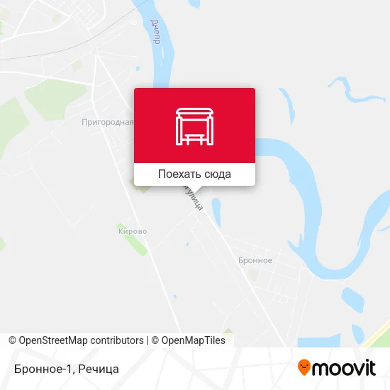 Карта Бронное-1