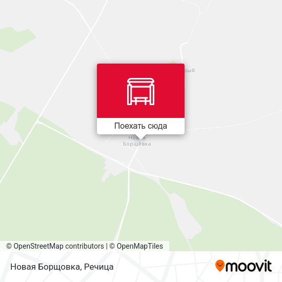 Карта Новая Борщовка