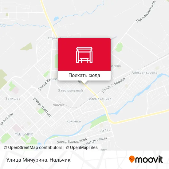 Карта Улица Мичурина