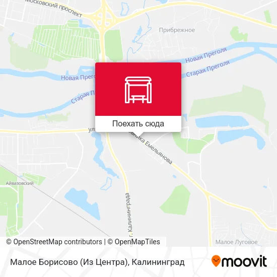 Карта Малое Борисово (Из Центра)
