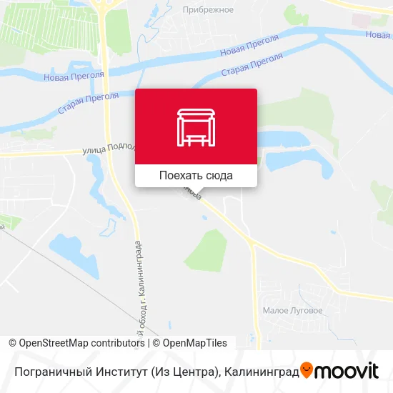 Карта Пограничный Институт (Из Центра)