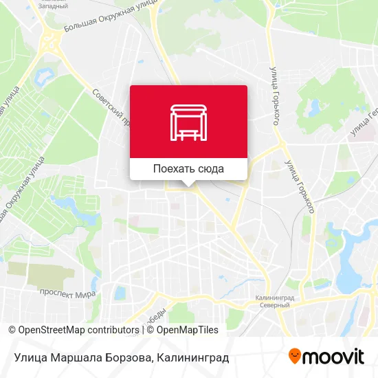 Карта Улица Маршала Борзова