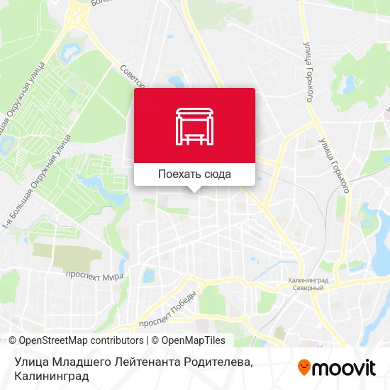 Карта Улица Младшего Лейтенанта Родителева