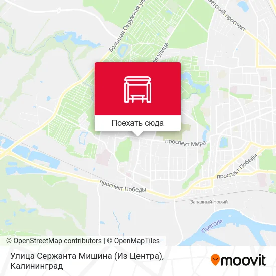 Карта Улица Сержанта Мишина (Из Центра)