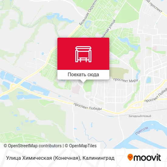 Карта Улица Химическая (Конечная)