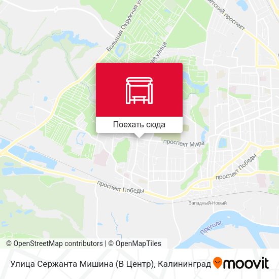 Карта Улица Сержанта Мишина (В Центр)