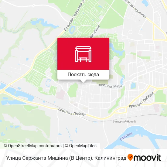 Карта Улица Сержанта Мишина (В Центр)