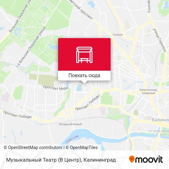 Карта Музыкальный Театр (В Центр)