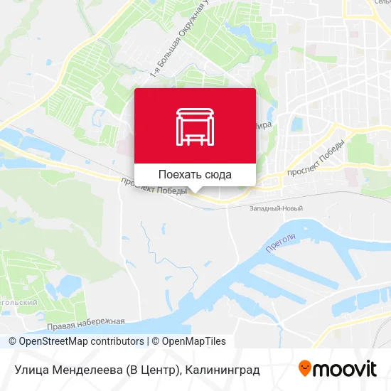 Карта Улица Менделеева (В Центр)