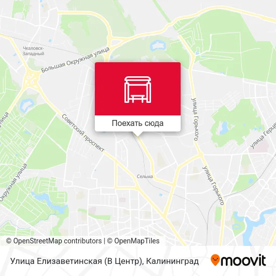 Карта Улица Елизаветинская (В Центр)