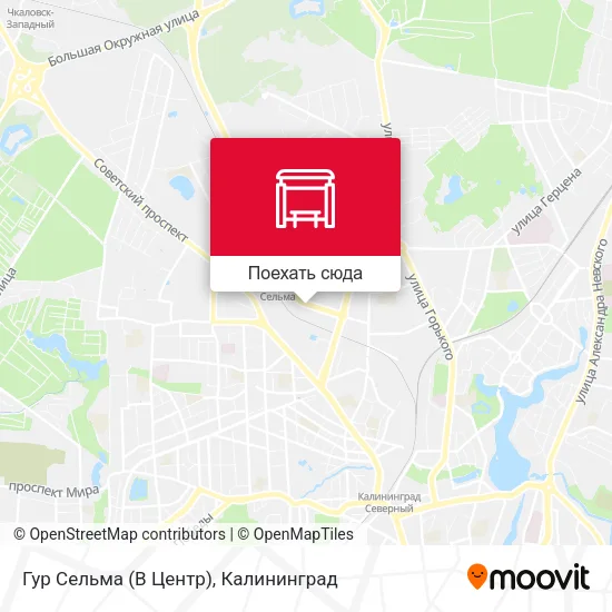Карта Гур Сельма (В Центр)