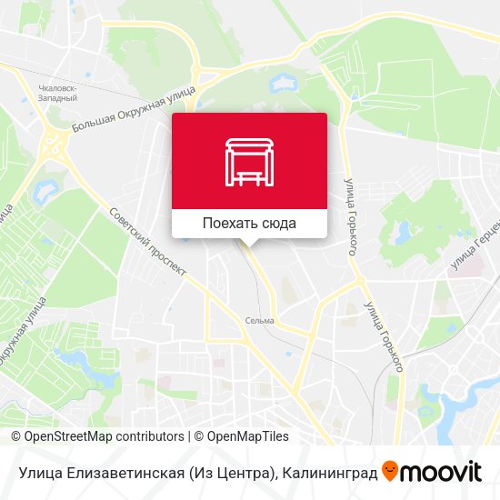 Карта Улица Елизаветинская (Из Центра)
