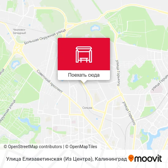 Карта Улица Елизаветинская (Из Центра)
