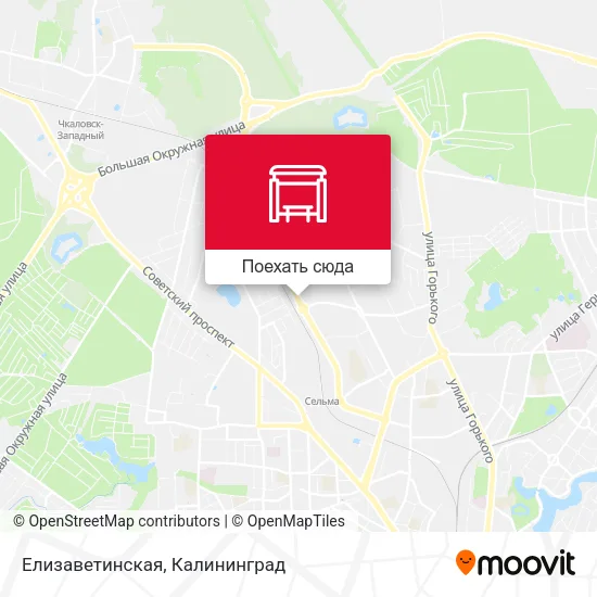 Карта Елизаветинская