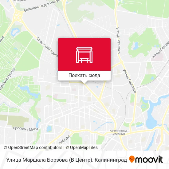 Карта Улица Маршала Борзова (В Центр)