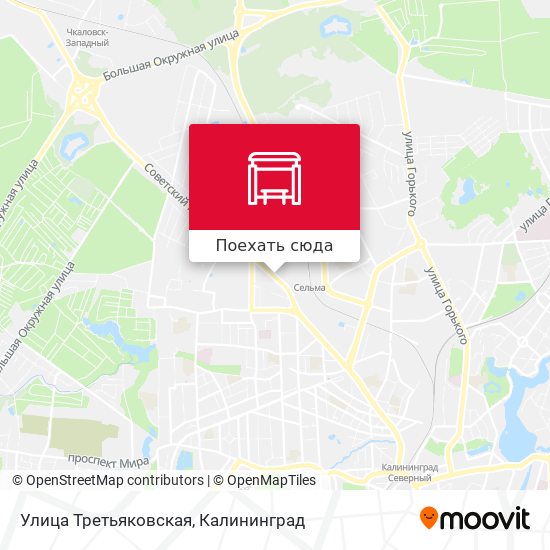Карта Улица Третьяковская