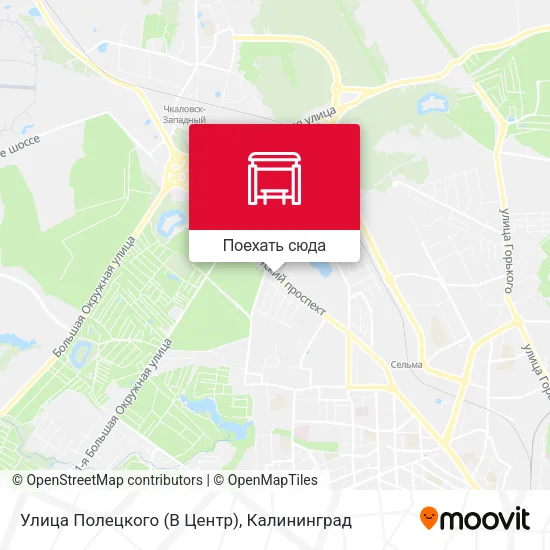 Карта Улица Полецкого (В Центр)